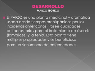 DESARROLLO
MARCO TEORICO



El PAICO es una planta medicinal y aromática
usada desde tiempos prehispánicos por los
indígenas americanos. Posee cualidades
antiparasitarias para el tratamiento de áscaris
(lombrices) y la tenia. Esta planta tiene
múltiples propiedades y es beneficiosa
para un sinnúmnero de enfermedades.

 