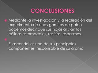 

Mediante la investigación y la realización del
experimento de unas gomitas de paico
podemos decir que sus hojas alivian los
cólicos estomacales, resfríos, espasmos.



El ascaridol es uno de sus principales
componentes, responsable de su aroma

 