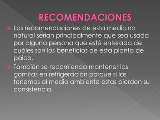 Las recomendaciones de esta medicina
natural serían principalmente que sea usada
por alguna persona que esté enterada de
cuáles son los beneficios de esta planta de
paico.
 También se recomienda mantener las
gomitas en refrigeración porque si las
tenemos al medio ambiente estas pierden su
consistencia.


 
