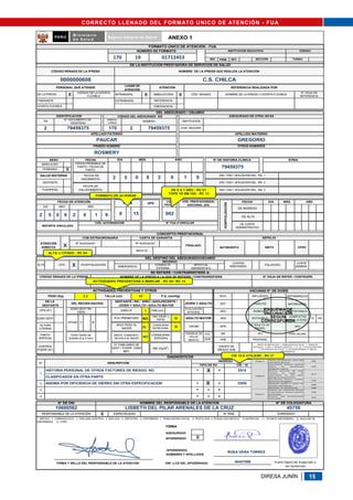 FORMATO FUA.pdf