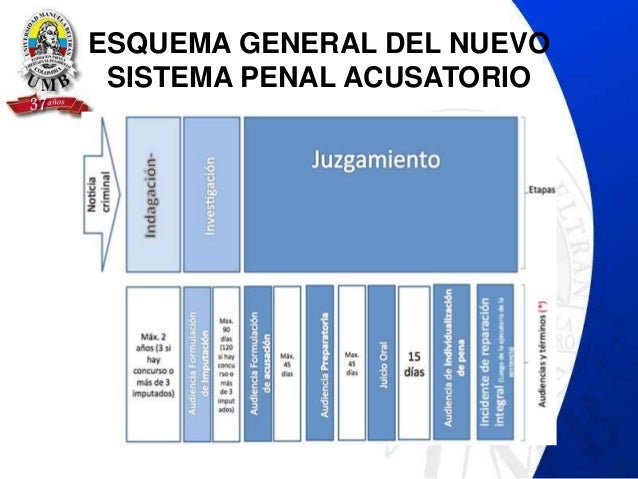 Formato manuela (1) sistema penal acusatorio
