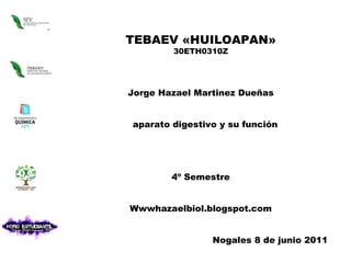TEBAEV «HUILOAPAN» 30ETH0310Z Jorge Hazael Martinez Dueñas aparato digestivo y su función 4º Semestre Wwwhazaelbiol.blogspot.com Nogales 8 de junio 2011 