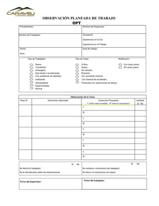 FORMATO OPT (1).docx
