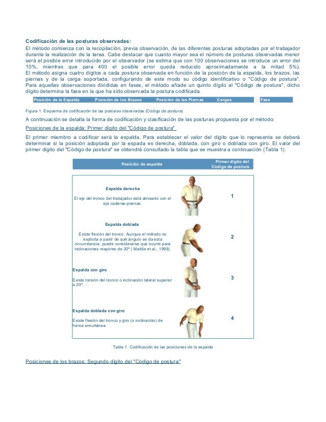 Formato owas