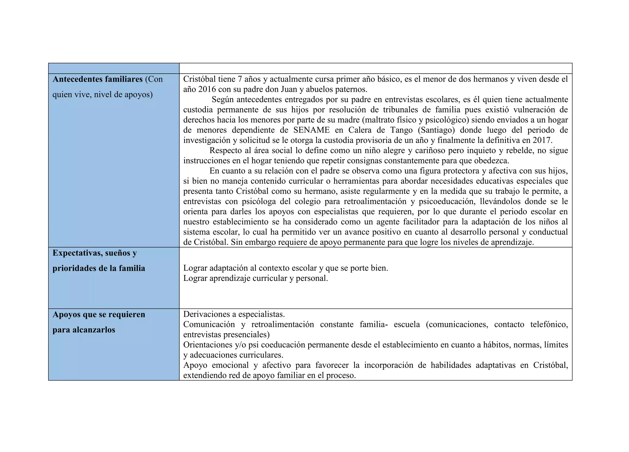 FORMATO PACI CON EJEMPLO.docx