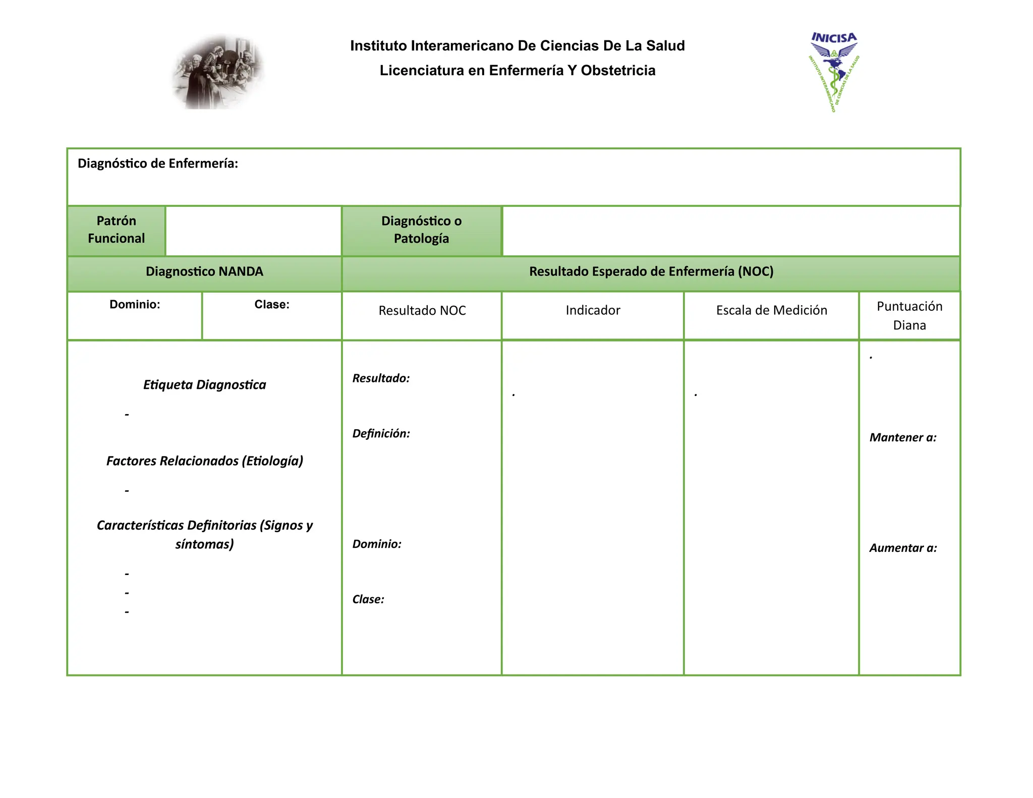 Formato PAE.p para el proceso de atención enfermería | PDF