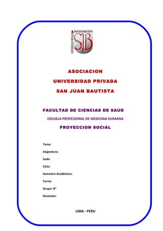 Formato para entrega de informe  de proyeccion social (2)
