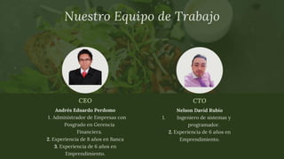 Formato pitch vittalik inversionista CCB