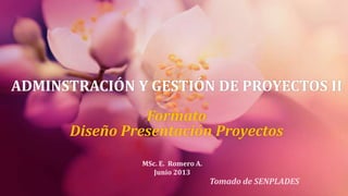 ADMINSTRACIÓN Y GESTIÓN DE PROYECTOS II
Formato
Diseño Presentación Proyectos
MSc. E. Romero A.
Junio 2013
Tomado de SENPLADES
 