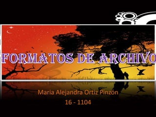 Maria Alejandra Ortiz Pinzón
         16 - 1104
 