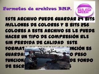 Formatos de archivos BMP.

Este archivo puede guardar 24 bits
millones de colores y 8 bits 256
colores A este archivo se le puede
hacer un tipo de compresión RLE
Sin Perdida De Calidad Este
formato en general la función es
guardar imágenes de poco peso
Funcionan para imágenes de fondo
de escritorio en Windows
 