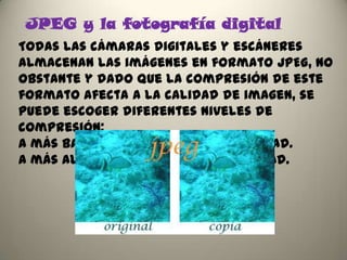 JPEG y la fotografía digital
Todas las cámaras digitales y escáneres
almacenan las imágenes en formato JPEG, no
obstante y dado que la compresión de este
formato afecta a la calidad de imagen, se
puede escoger diferentes niveles de
compresión:
A más baja compresión mayor calidad.
A más alta compresión menor calidad.
 