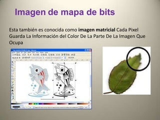 Imagen de mapa de bits
Esta también es conocida como imagen matricial Cada Pixel
Guarda La Información del Color De La Parte De La Imagen Que
Ocupa
 