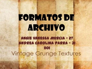 FORMATOS DE
  ARCHIVO
 Angie Vanessa Murcia - 27
Andrea Carolina Parra – 31
            1101
 