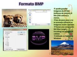 Formato BMP
               puede guardar
              imágenes de 24 bits
              (millones de colores), 8
              bits (256 colores) y
              menos.
              Son de poco peso y no
              se aconseja utilizarlo en
              imágenes recién captadas
              Tienen una compresión
              RLE (Run Length
              Encoding) sin pérdida de
              calidad.
              Utilizado en fondos de
              Windows
 