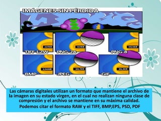 Las cámaras digitales utilizan un formato que mantiene el archivo de
la imagen en su estado virgen, en el cual no realizan ninguna clase de
     compresión y el archivo se mantiene en su máxima calidad.
     Podemos citar el formato RAW y el TIFF, BMP,EPS, PSD, PDF
 