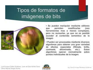 Tipos de formatos de
imágenes de bits
• Se pueden manipular mediante editores
que permiten modificarlas (con
herramientas mas o menos complejas),
pero no revisarlas, ya que no es posible
acceder al contenido semántico de la
imagen
• Pueden ser procesadas mediante diversos
algoritmos para obtener una gran variedad
de efectos especiales (filtrado, brillo,
contraste, difuminado, etc.). Estos
algoritmos operan normalmente sobre
puntos individuales de la imagen.
Luis Enrique Galán Gutiérrez -Juan de Dios Nuñez Sosa
Oliver Marcel Vargas Nuñez
 