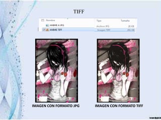 TIFF




IMAGEN CON FORMATO JPG    IMAGEN CON FORMATO TIFF
 