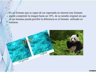 Es un formato que es capaz de ser soportado en internet este formato
puede comprimir la imagen hasta un 10% de su tamaño original sin que
el ojo humano pueda percibir la diferencia es el formato utilizado en
cámaras
 