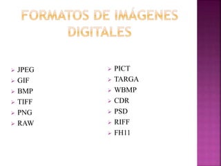  JPEG
 GIF
 BMP
 TIFF
 PNG
 RAW
 PICT
 TARGA
 WBMP
 CDR
 PSD
 RIFF
 FH11
 