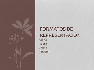 FORMATOS DE 
REPRESENTACIÓN 
Video 
Texto 
Audio 
Imagen 
 
