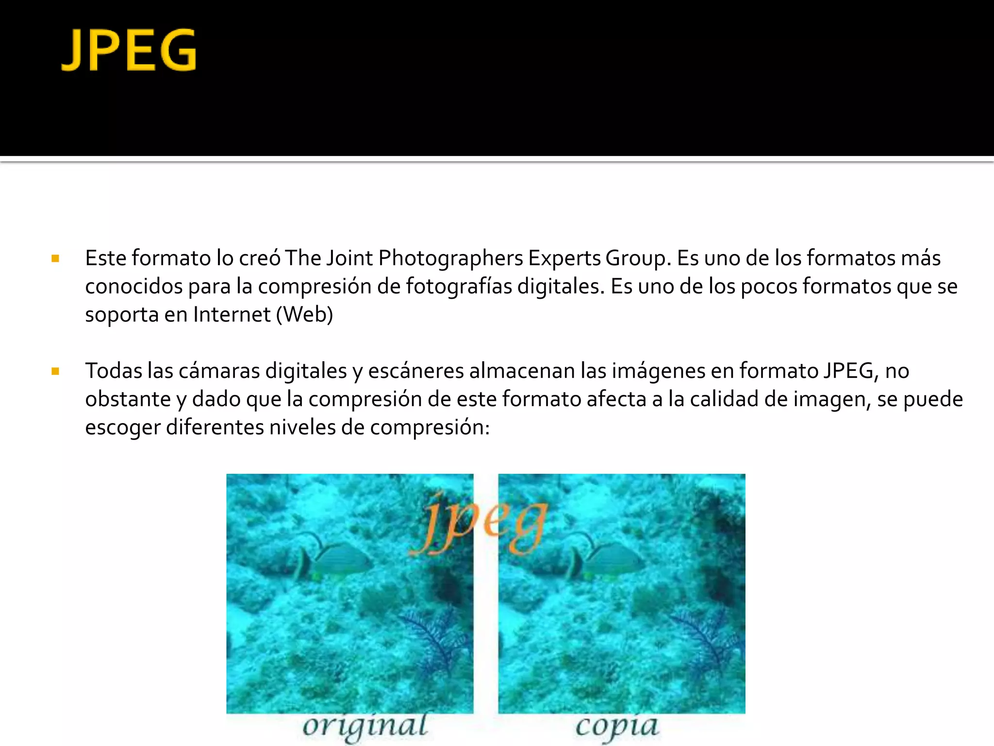    Este formato lo creó The Joint Photographers Experts Group. Es uno de los formatos más
    conocidos para la compresión de fotografías digitales. Es uno de los pocos formatos que se
    soporta en Internet (Web)

   Todas las cámaras digitales y escáneres almacenan las imágenes en formato JPEG, no
    obstante y dado que la compresión de este formato afecta a la calidad de imagen, se puede
    escoger diferentes niveles de compresión:
 