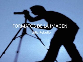 FORMATOS DE LA IMAGEN.
       Lidia Rebollo
 