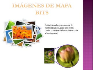 Están formadas por una serie de
puntos (pixeles), cada uno de los
cuales contienen información de color
y luminosidad.
 