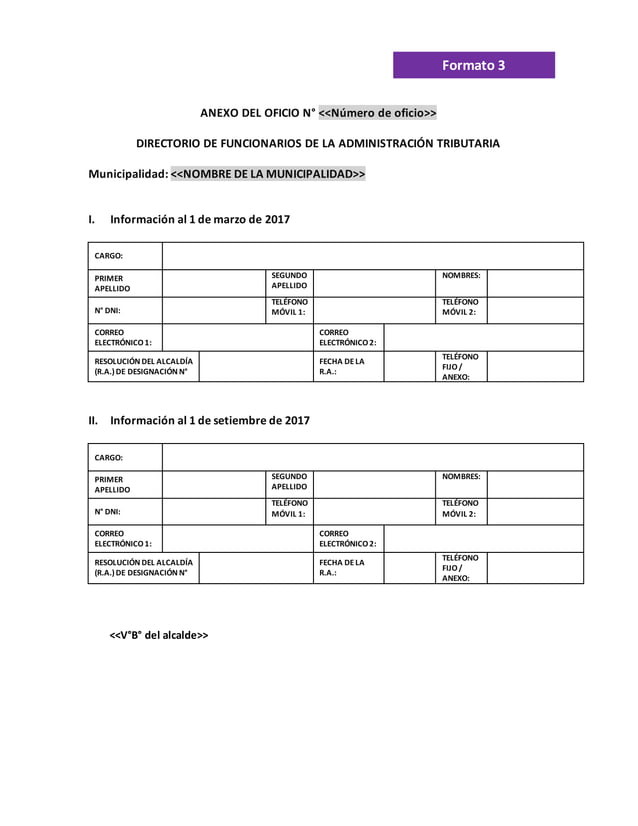 Formatos meta 39 | PDF