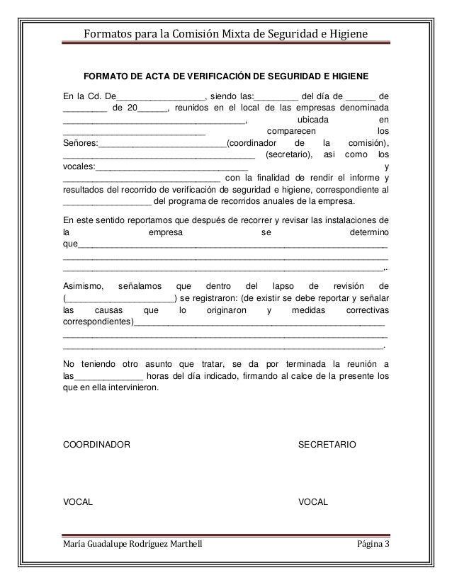 formato minuta de reunion excel