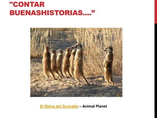 "CONTAR
BUENASHISTORIAS....”
El Reino del Suricatto – Animal Planet
 