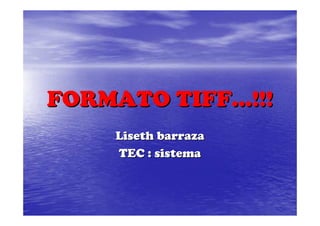 FORMATO TIFF…!!!
    Liseth barraza
    TEC : sistema
 
