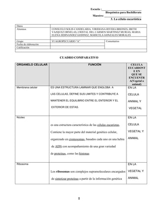 Formato Tu Tarea 3 La célula eucariótica