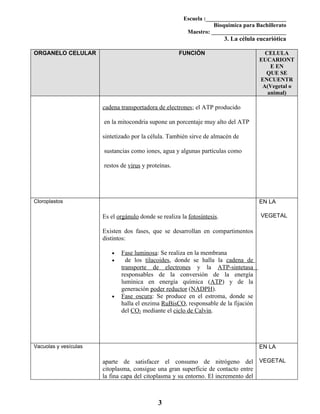 Formato Tu Tarea 3 La célula eucariótica