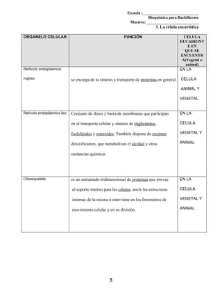 Formato Tu Tarea 3 La célula eucariótica