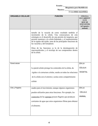 La célula eucariótica...