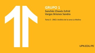 GRUPO 1
Sanchéz Chavés Esfrid
Vargas Briones Sandra
Tema 5 - ZRE2: Análisis de la zona La Molina
UPN.EDU.PE
 
