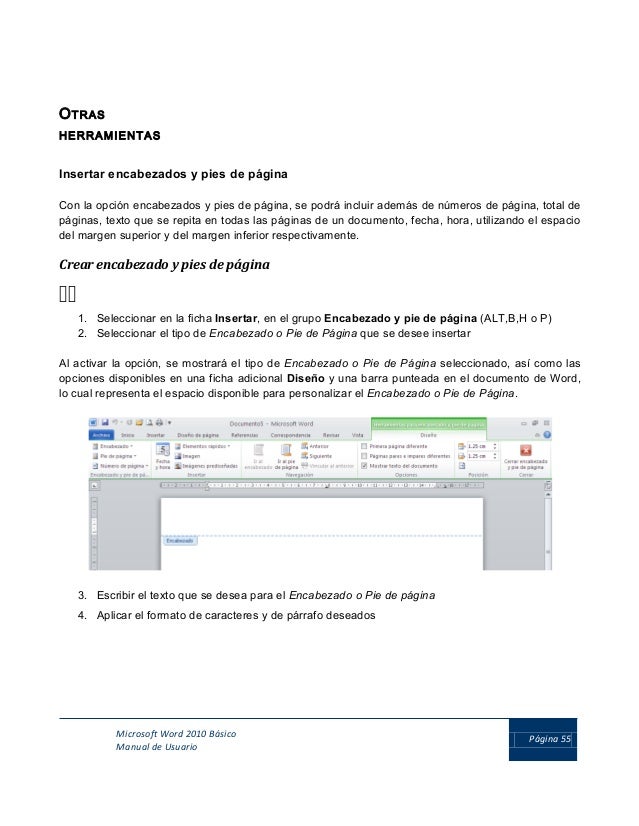 formato ms word