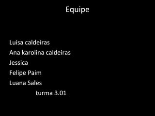 Equipe Luisa caldeiras Ana karolina caldeiras Jessica  Felipe Paim Luana Sales turma 3.01 