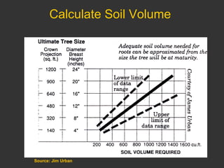 Calculate Soil Volume Source: Jim Urban 