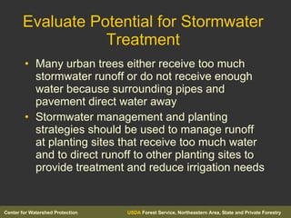 Evaluate Potential for Stormwater Treatment Many urban trees either receive too much stormwater runoff or do not receive enough water because surrounding pipes and pavement direct water away Stormwater management and planting strategies should be used to manage runoff at planting sites that receive too much water and to direct runoff to other planting sites to provide treatment and reduce irrigation needs 