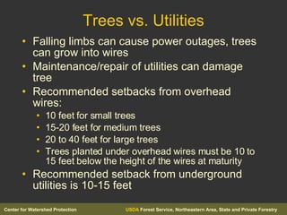 Trees vs. Utilities Falling limbs can cause power outages, trees can grow into wires  Maintenance/repair of utilities can damage tree Recommended setbacks from overhead wires: 10 feet for small trees 15-20 feet for medium trees 20 to 40 feet for large trees Trees planted under overhead wires must be 10 to 15 feet below the height of the wires at maturity Recommended setback from underground utilities is 10-15 feet 