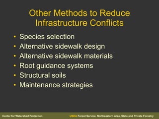 Other Methods to Reduce Infrastructure Conflicts Species selection Alternative sidewalk design Alternative sidewalk materials Root guidance systems Structural soils Maintenance strategies 