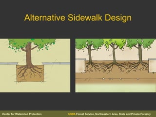 Alternative Sidewalk Design 