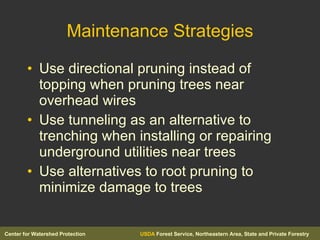 Maintenance Strategies Use directional pruning instead of topping when pruning trees near overhead wires Use tunneling as an alternative to trenching when installing or repairing underground utilities near trees Use alternatives to root pruning to minimize damage to trees 