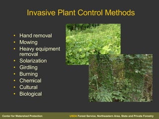 Invasive Plant Control Methods Hand removal Mowing Heavy equipment removal Solarization Girdling Burning Chemical Cultural  Biological 