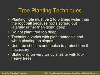 Tree Planting Techniques Planting hole must be 2 to 3 times wider than the root ball because roots spread out laterally rather than going deep Do not plant tree too deep Technique varies with plant materials and when planting on slopes Use tree shelters and mulch to protect tree if necessary Stake only on very windy sites or with top-heavy trees 