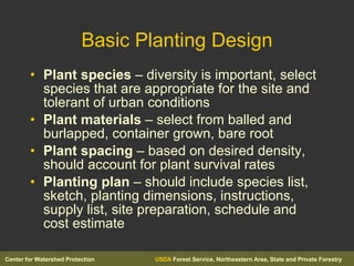 Basic Planting Design Plant species  – diversity is important, select species that are appropriate for the site and tolerant of urban conditions Plant materials  – select from balled and burlapped, container grown, bare root  Plant spacing  – based on desired density, should account for plant survival rates Planting plan  – should include species list, sketch, planting dimensions, instructions, supply list, site preparation, schedule and cost estimate 