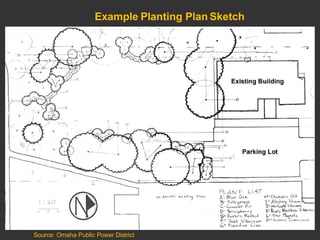 Example Planting Plan Sketch Source: Omaha Public Power District 