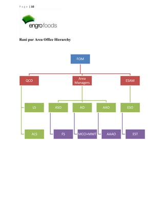 P a g e | 10

Rani pur Area Office Hierarchy

FOM

Area
Managers

QCO

LS

ALS

ASO

AO

FS

MCCI+MMT

ESAM

AAO

AAAO

ESO

EST

 